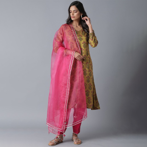 The Folksong Collection Women Pink Color Cotton Salwar