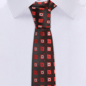 Men Brown & Red Printed Formal Tie Accessory Gift Set